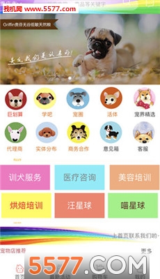 宠界官方版截图2