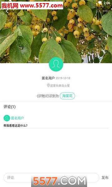 ����ֲ�����ٷ����ͼ2