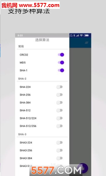 ����ժҪ�ٷ����ͼ0
