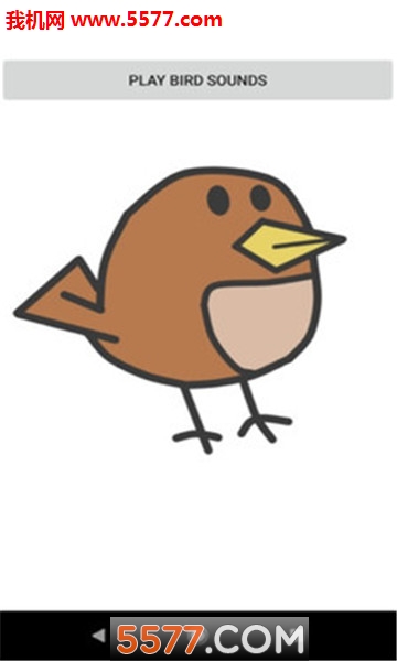 bird sounds׿ͼ0