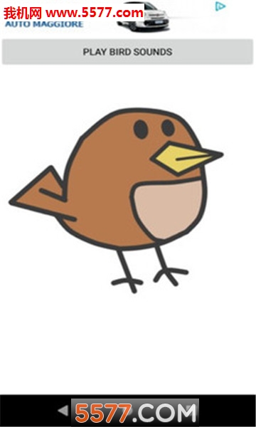 bird sounds׿ͼ2