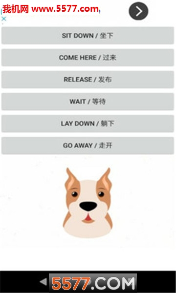 빷ͨٷ(Communicate Dogs)ͼ1