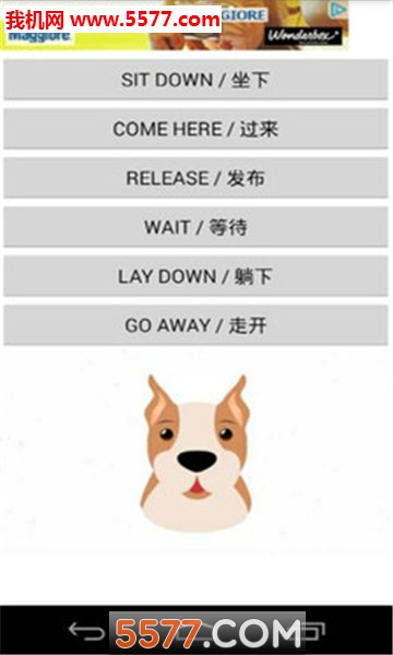 빷ͨٷ(Communicate Dogs)ͼ2