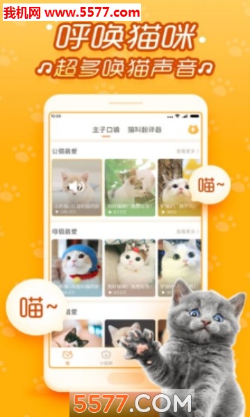 ��è�������㰲׿���ͼ0