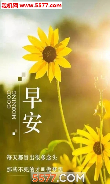 2026�簲ѶϢ������ͼ0