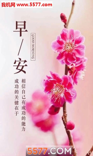 2026�簲ѶϢ������ͼ1