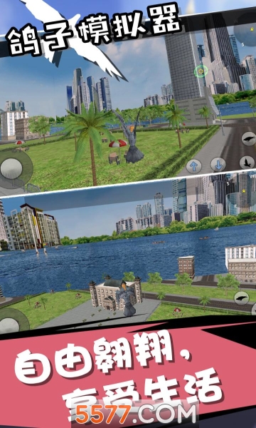 ģ3İ(Pigeon Simulator)ͼ0