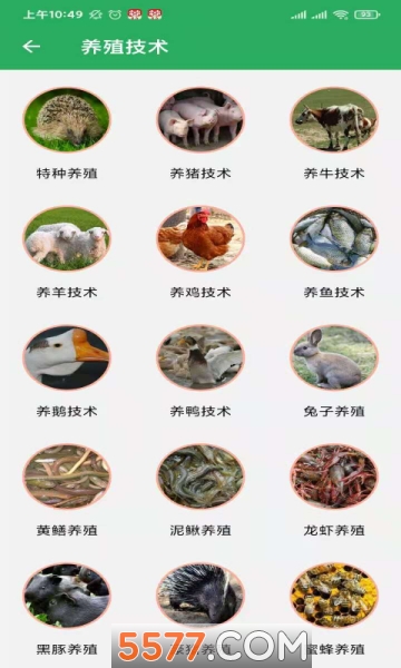 ���Ǵ���ֻ����ͼ0