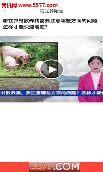 ֻͼ1