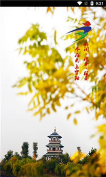 云上宁阳应用界面