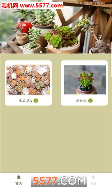 ���Ⱞ�����ֻ����ͼ1