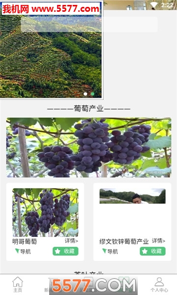 Vineyardֻͼ0