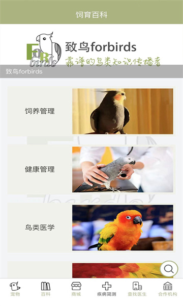 forbirdsٷͼ1
