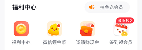 爱奇艺随刻版app怎么领会员