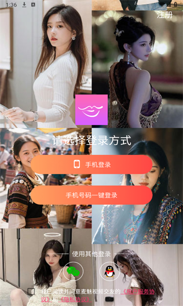 ������Ƶ����������ͼ1