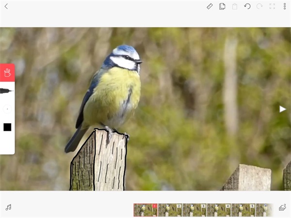 FlipaClip动画制作教程