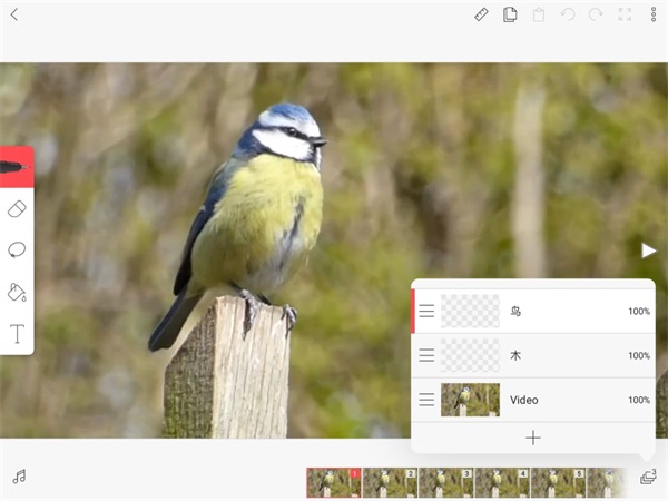 FlipaClip动画制作教程