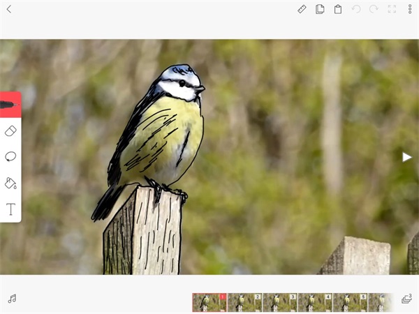 FlipaClip动画制作教程