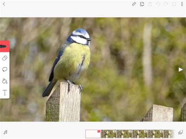 FlipaClip动画制作教程