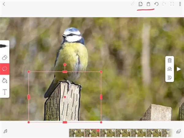 FlipaClip动画制作教程