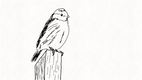 FlipaClip动画制作教程