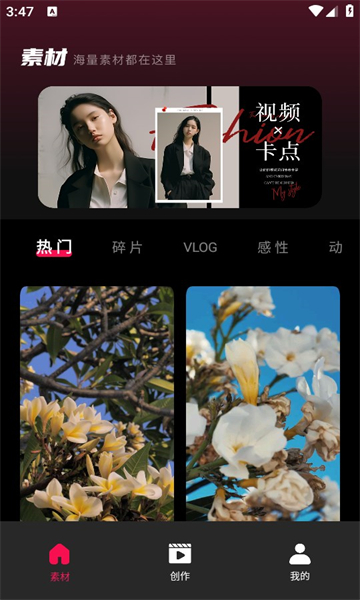 tibni国际创作平台 tibni国际创作平台