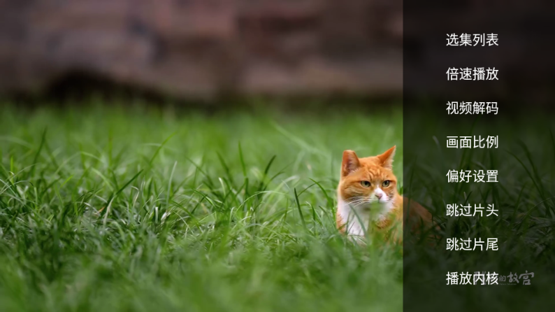 南瓜影院最新版截图2