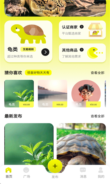 龟先生官方版截图2