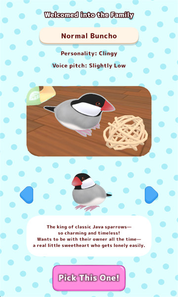 文鸟物语游戏最新版截图4