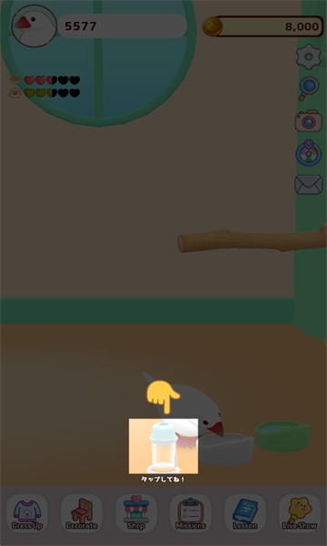 文鸟物语游戏最新版截图2