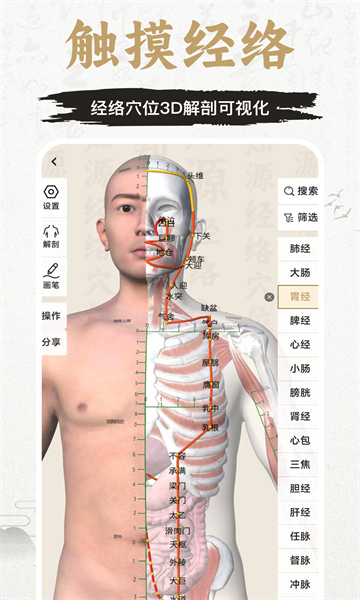知源经络穴位软件最新版截图1
