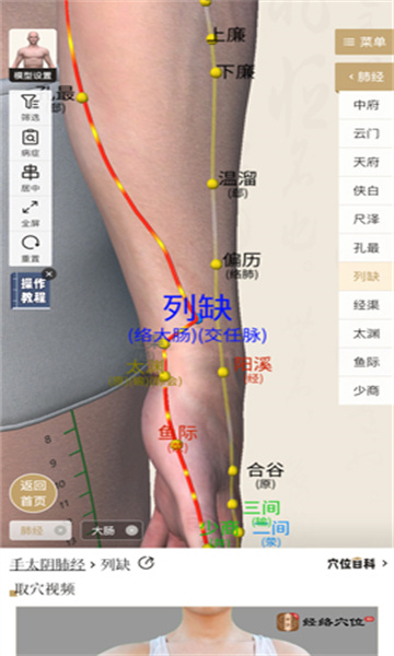 中济经络穴位软件最新版 中济经络穴位软件最新版