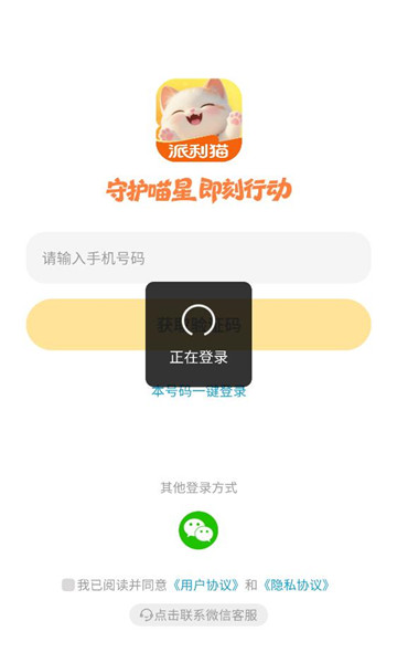 ����è��׿���ͼ1