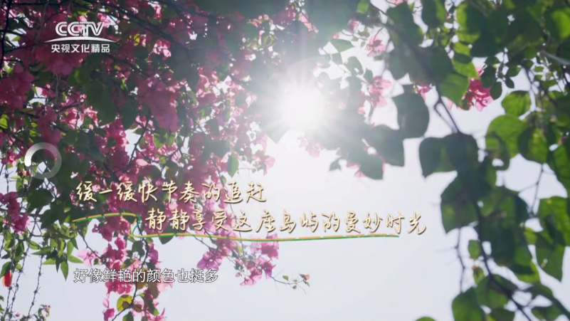 m3u iptv���°��ͼ0