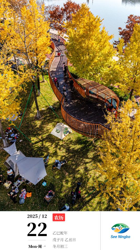 ����������׿�ٷ����ͼ2