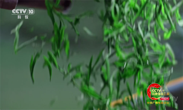 海洋电视Tv版官方截图2