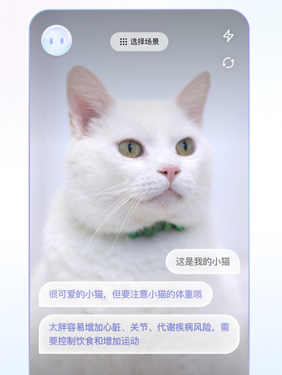 ׿apk