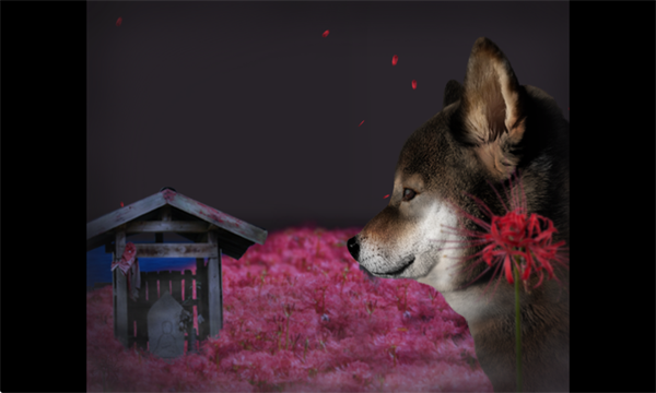 ղ湷ռֻͼ2
