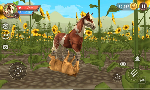 WildCraft(ҰԹٷ)ͼ1