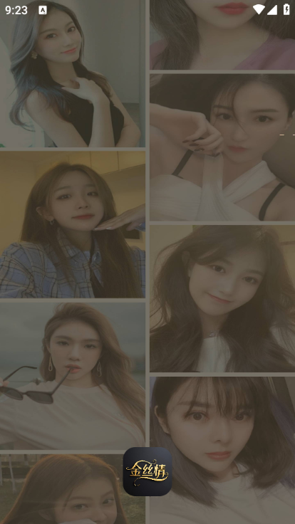 金丝情安卓版截图2