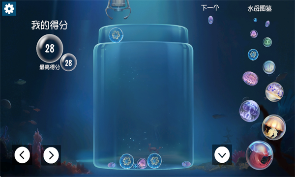 ϳɴˮĸ˸°(jellyfish)ͼ3