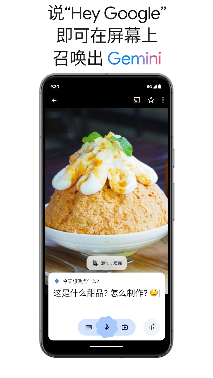 google gemini appͼ2