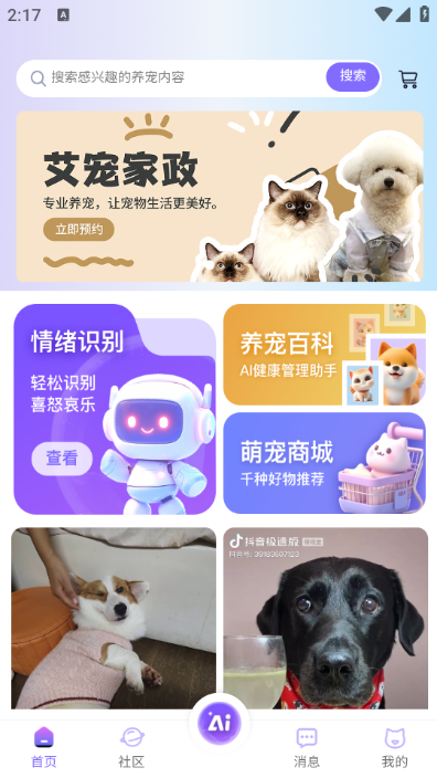 �����׹ٷ���