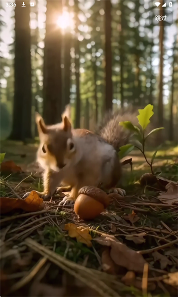 �ɹ�ʱ�����°��ͼ2