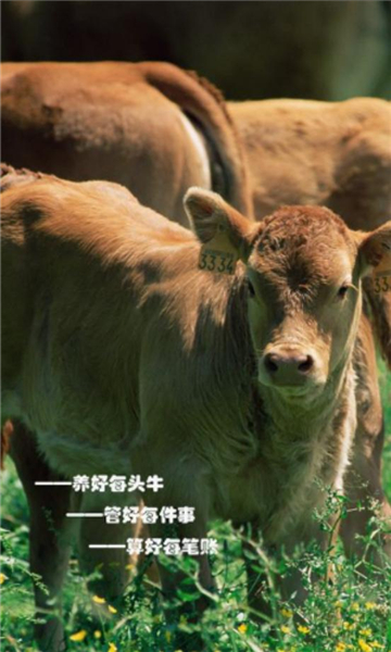 数字牛业手机版截图2