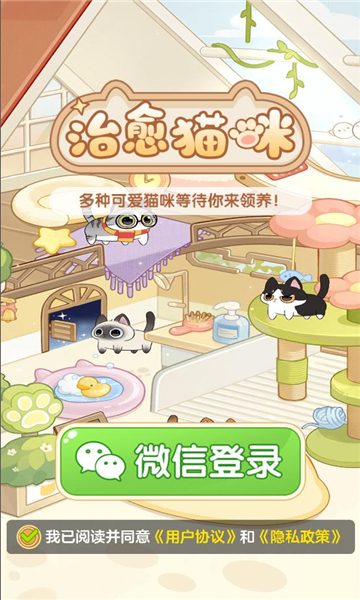 ����è�䰲׿���ͼ1