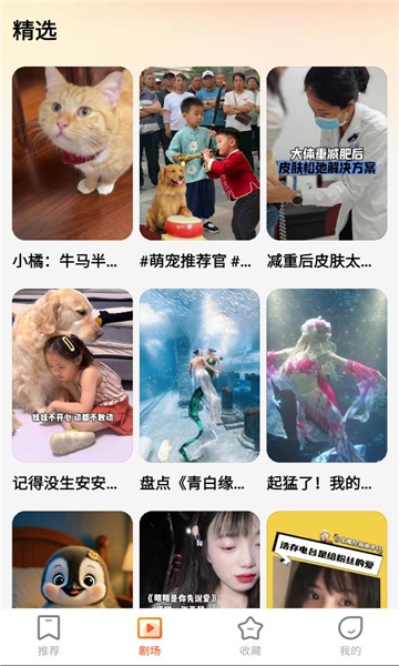 翻视界安卓版截图0