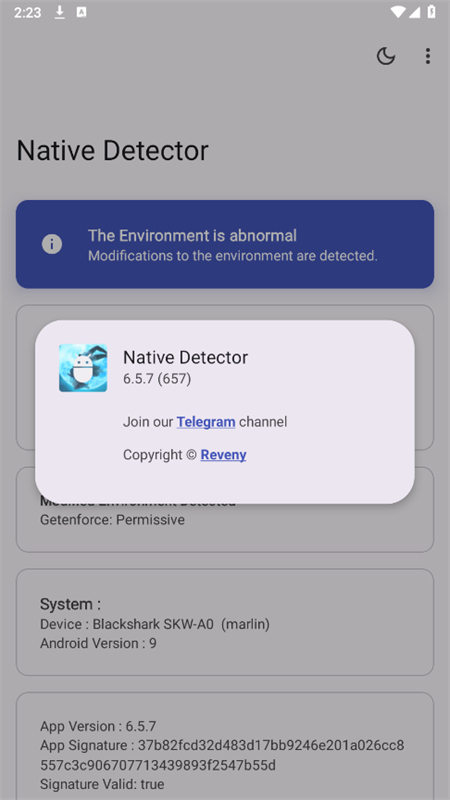 Native Detector中文版截图2