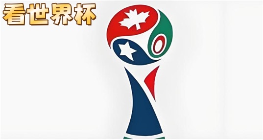 看世界杯