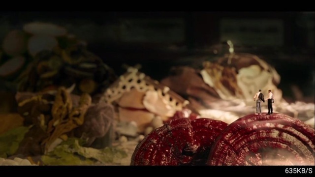 猫猫影院TVapk截图1